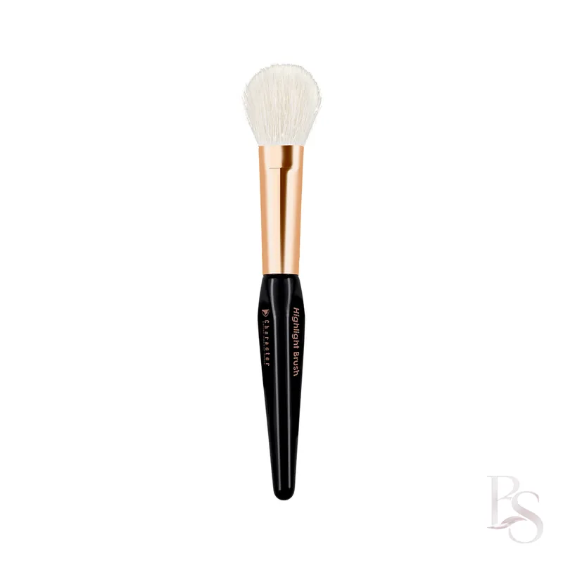 Character Cosmetics Highlight Brush CSX027