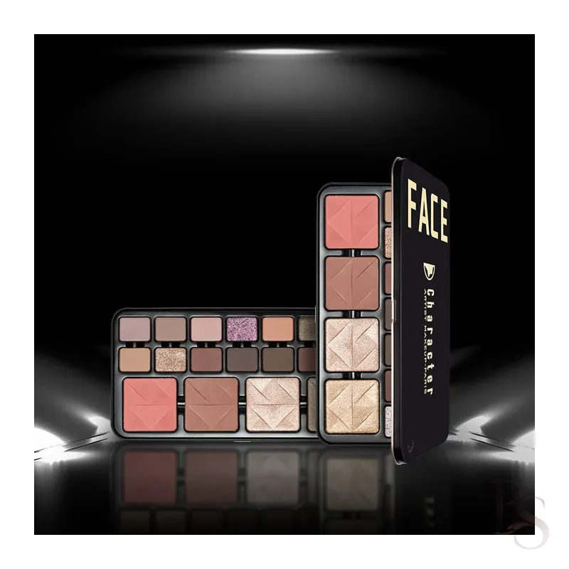 Character Eyeshadow Blusher & Highlighter Palette C-A303