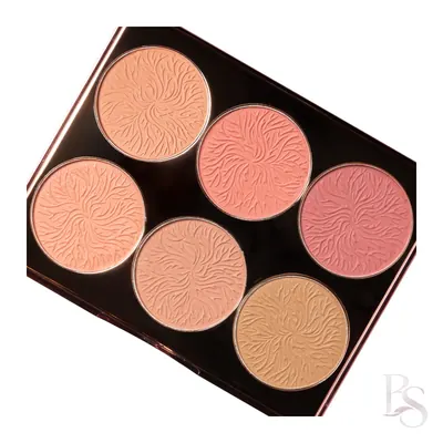 Future Makeup Velour Blush Palette