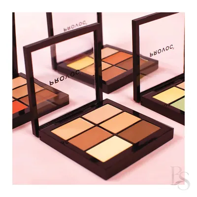 Provoc Contour Correct Conceal Palette