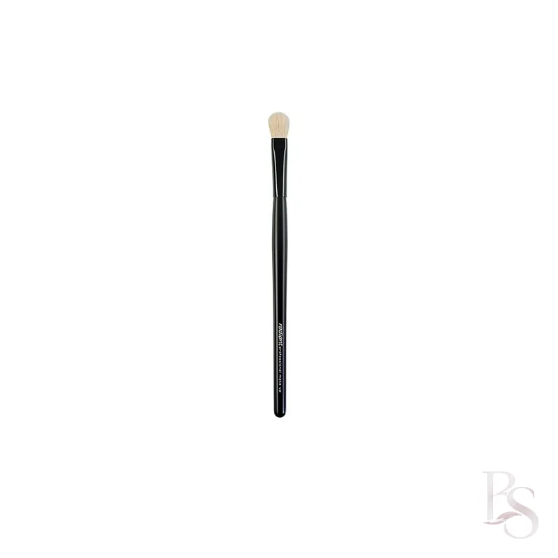 Radiant All Purpose Shadow Blender